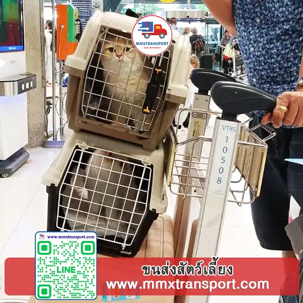รถขนส่งสัตว์เลี้ยงจอดพักระหว่างทาง