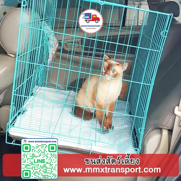 สัตว์เลี้ยงหลายชนิดในรถขนส่ง