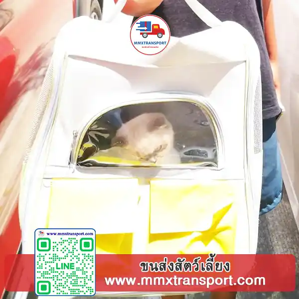 รถขนส่งสัตว์เลี้ยงพร้อมกรงหลายช่อง