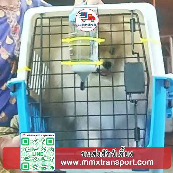 รถขนส่งสัตว์เลี้ยงพร้อมระบบระบายอากาศ