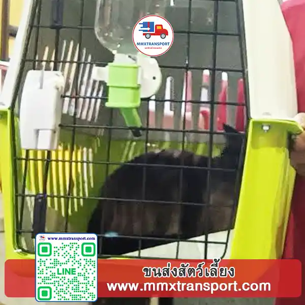 รถขนส่งสัตว์เลี้ยงจอดรับลูกค้า